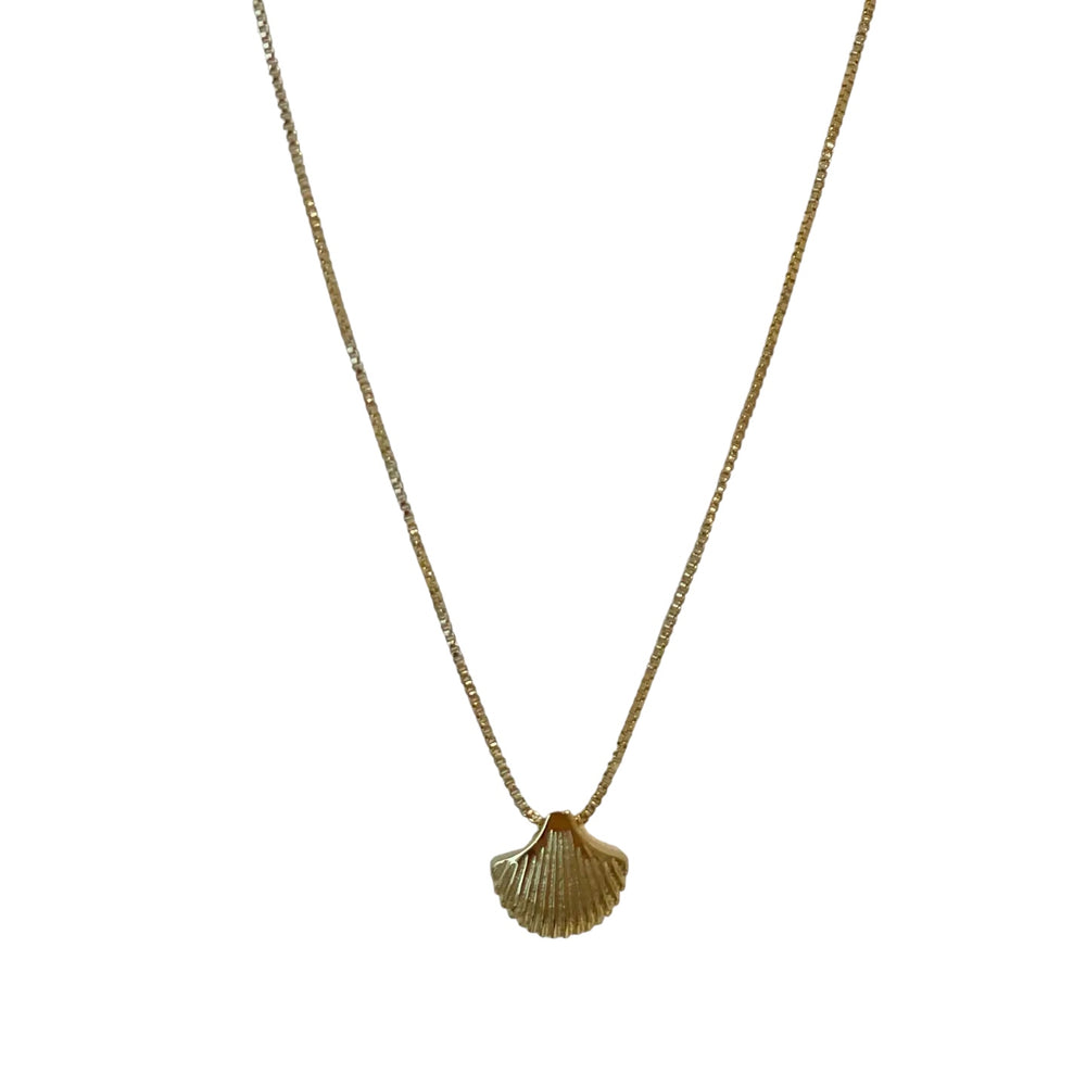 Tide Is High Necklace. Gold Filled Sea Shell Necklace