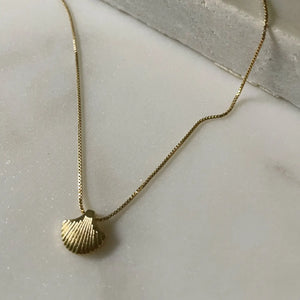 Tide Is High Necklace. Gold Filled Sea Shell Necklace