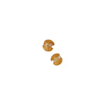 Clam Studs
