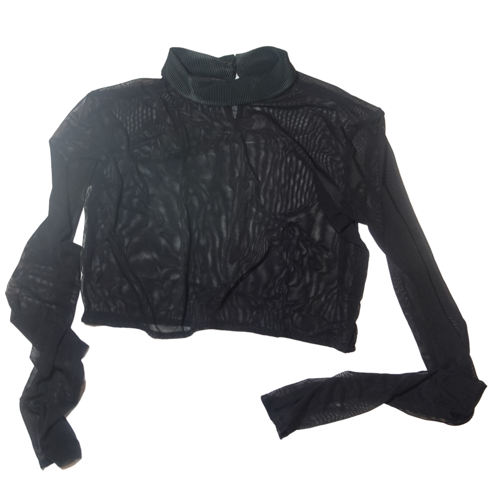 Long Sleeve Mesh Crop Top With Ribbed Neckline