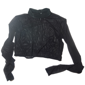 Long Sleeve Mesh Crop Top With Ribbed Neckline